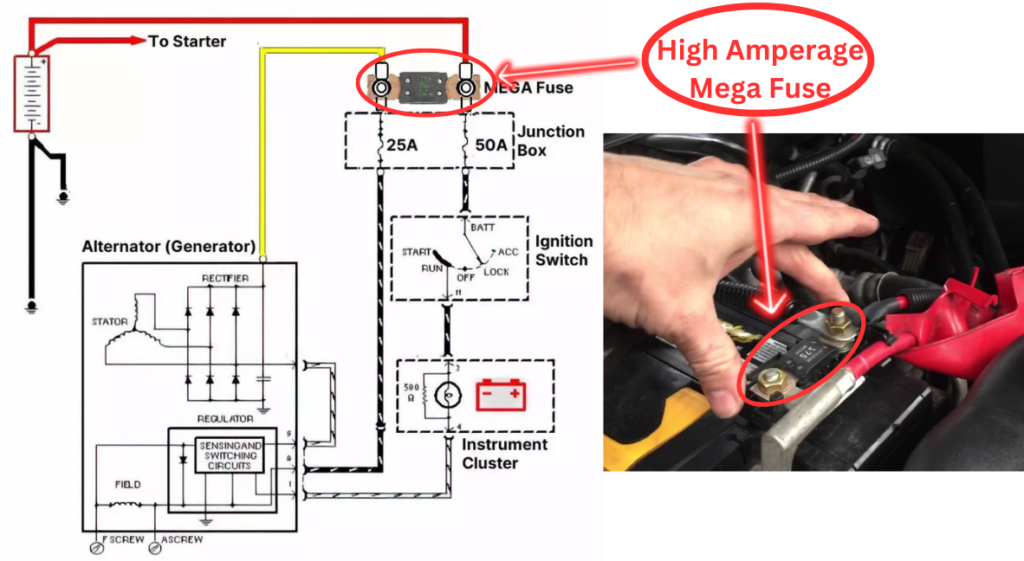 image of alternator circuit diagram and battery fuse terminal to showcase the location of high amperage alternator fuse